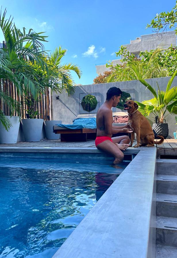Lote4 - Lgbtq Studios Playa del Carmen Dış mekan fotoğraf
